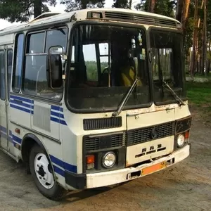 Пассажирские перевозки на автобусе ПАЗ-3205 