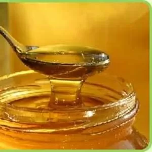 продам мед высокого качества оптом
