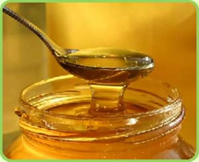 продам мед высокого качества оптом